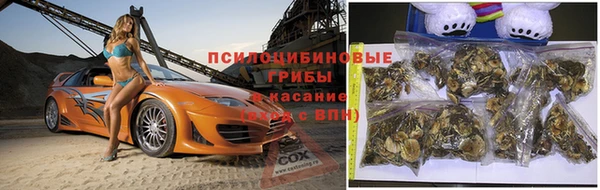 jwh Нея